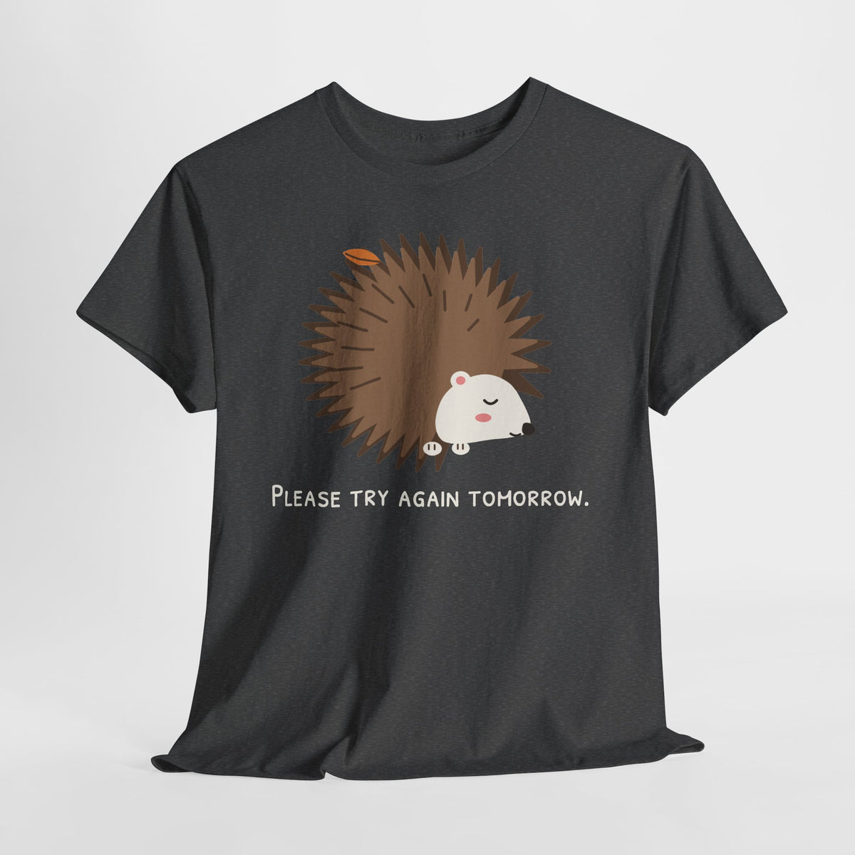 Ansicht: Please Try Again Tomorrow – liegend